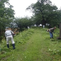 はばたきの丘とふるさと村の草刈り