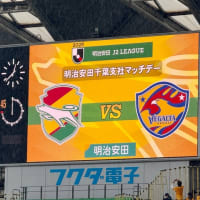 肉でも魚でもない、仙台戦
