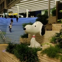 今日いち-2025年7月4日からの帰り道