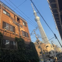 電車でのらりくらり