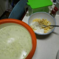 ヨーグルトタルタルとエビでミラノ風カツレツを学ぶ。