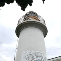 城ヶ島で見た花