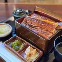 関西でも好調のうなぎ専門店が奈良県にやってきた！　鰻の成瀬 奈良三条店6月13日オープン