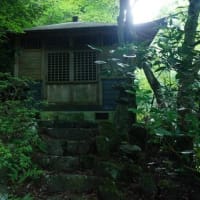 御岳山－大岳山－日の出山③