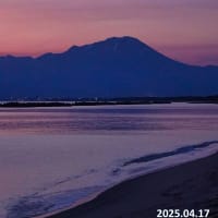 今朝の大山さん　4月17日
