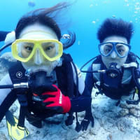 午前午後と水納島にて体験ダイビング