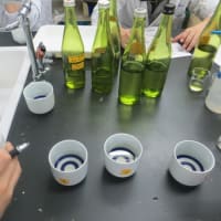 焼酎醸造実習報告☆