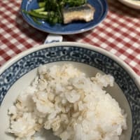 今日の新規投稿・・・