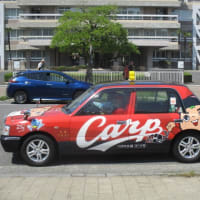 カープタクシー！真っ赤な車体、カープ坊や、赤いユニフォームの運転手さん・・・鯉党にとってたまらないタクシーです