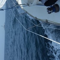 別府北浜ヨットハーバーー深島ー鹿島ー佐多岬港ー別府。二泊三日のクルージング、全行程150マイル