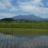 水無月の八ヶ岳