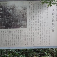 久伊豆神社の「藤」