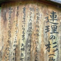 貴船神社