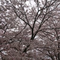 新品タイヤ♪