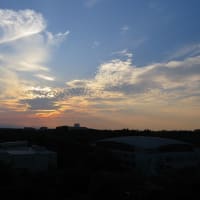 6/29　西空