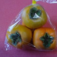 秋の味覚　柿と栗パン