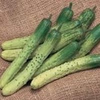 749 オイソジュ きゅうり酒 ぐるくん のひとりごと 749 オイソジュ きゅうり酒 ぐるくん のひとりごと
