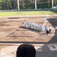 全国高校野球大会地区予選