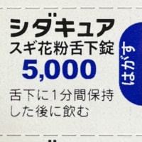 舌下免疫療法 支出 2025年
