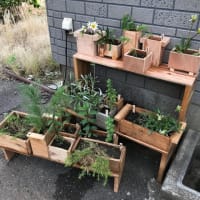 ラストスパート
