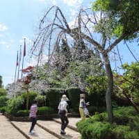 箱根登山鉄道