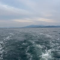 ノッコミ真鯛　もう4回目