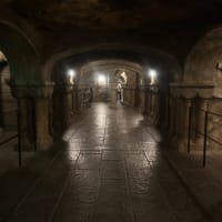 USJ⭐︎夜ユニバ楽しんできました♪