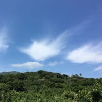 空が雲が素敵です✨