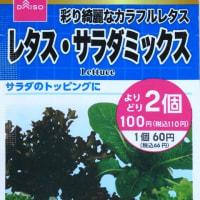 １００均種子は良い！