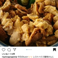 今日は