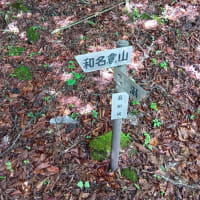 和名倉山に行って来ました。（秩父側から）