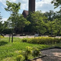 7月6日の礼拝の内容です。
