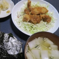 ブログupもだんだん断捨離、あと4回で晩ごはんづくり庶民の味も3500回、