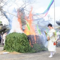 帝釈寺「節分会　福護摩祭り」3年ぶりの一般参拝者を迎え火渡り修行