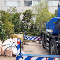 「鷗外荘」移転工事進捗中