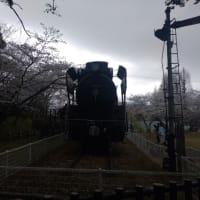 津城と津偕楽公園の桜
