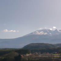はるたび_2025-３日目-3／ Cafe KaZe で 三時のヲヤツ
