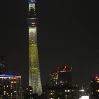 日向坂46の虹開催記念特別ライティング16