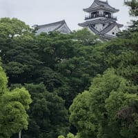 高知旅