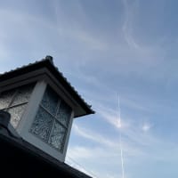 飛行機雲と別邸わんこ日和と日暈