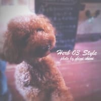 Herb 03 Style
