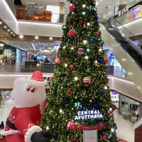 アユタヤ セントラルのクリスマスツリー
