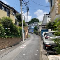 川崎市岡上付近の急坂を巡る③
