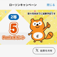 「ポイ活」の一端に触れる
