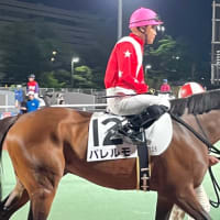 愛馬パレルモ大井競馬最終R優勝しました！！