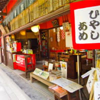 京都に行ってきました　１