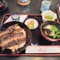 うなぎ 丸よ　鰻丼 特上丼 松