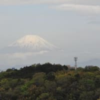 今朝の富士山　2024.4.16.（火）