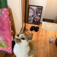 マリンが キラ～んとした目で見つめるものは？