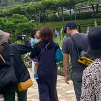 大荒れの予報が変わり　フラワーパークへ行くよ❣️